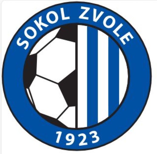Sokol Zvole hledá správce sportovního areálu