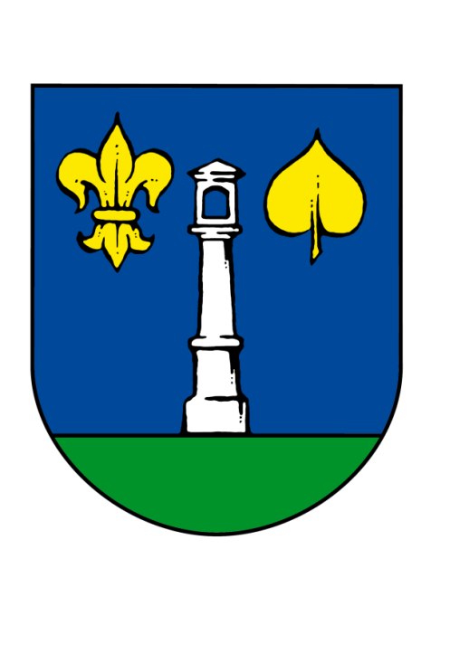 Veřejné setkání 