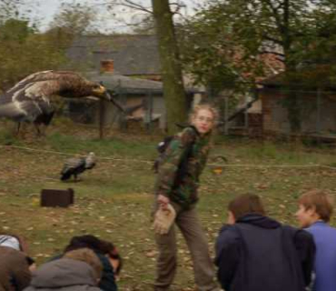 Sokolníci